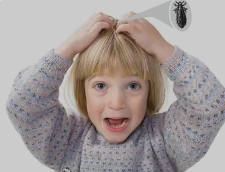 Anti Lice Kit