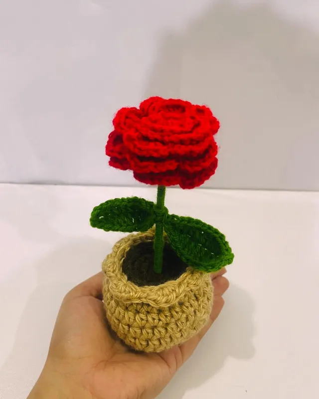 Rose flower pot